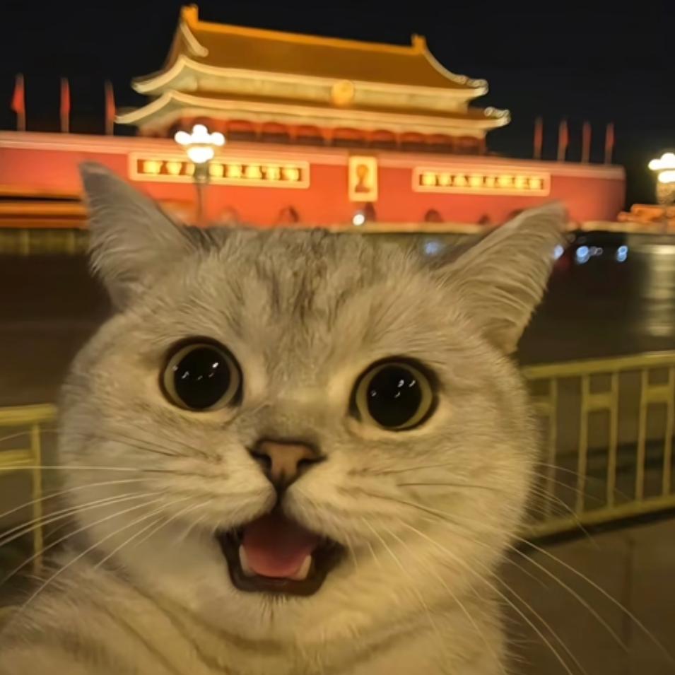 "别碰我的齐刘海"