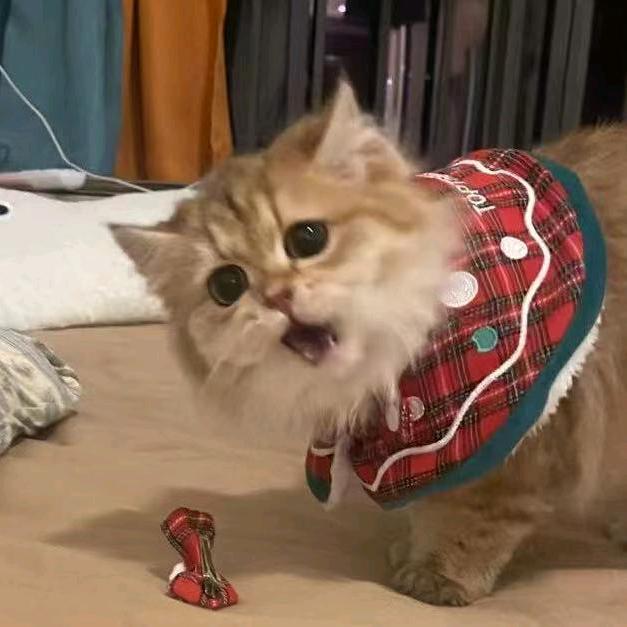 香喷喷甜软的奶黄包呀