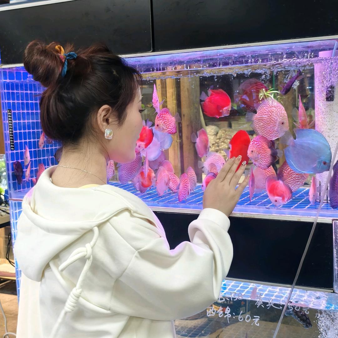 艺品 💫