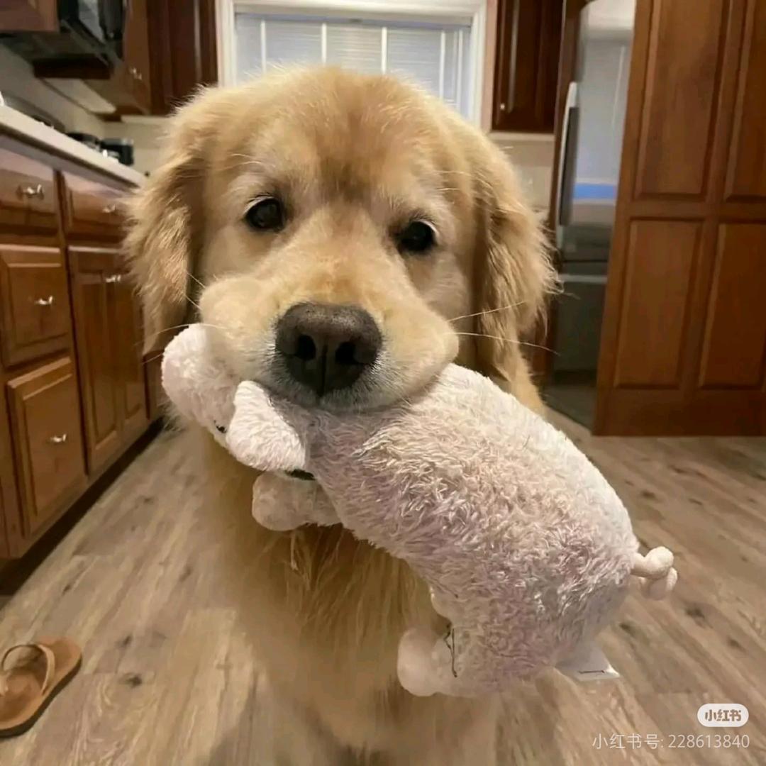 臭美啊菜的宝库