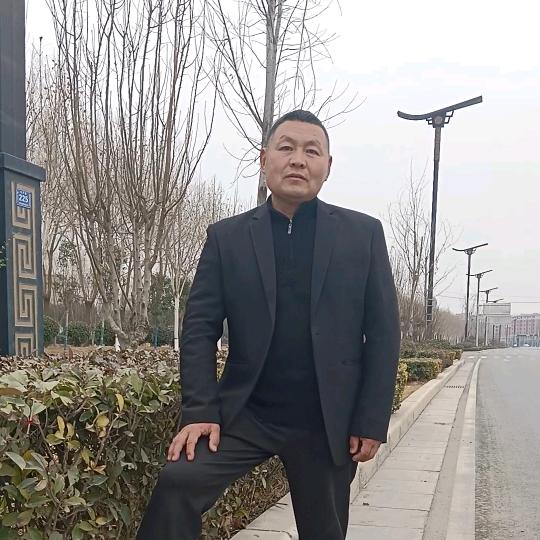 荷兰猪，豚鼠养殖合作社