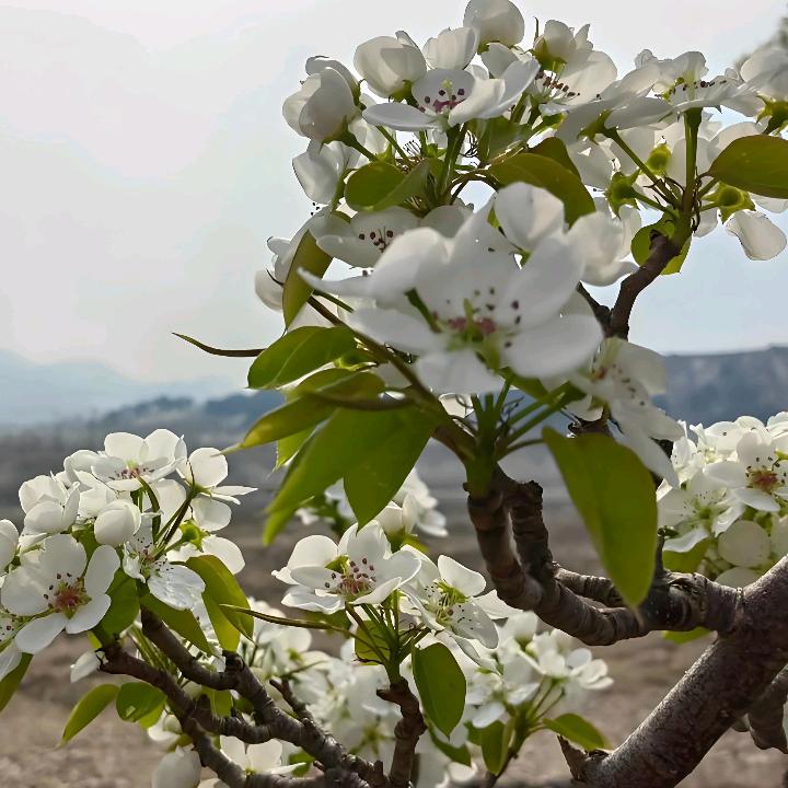 顺其自然吧