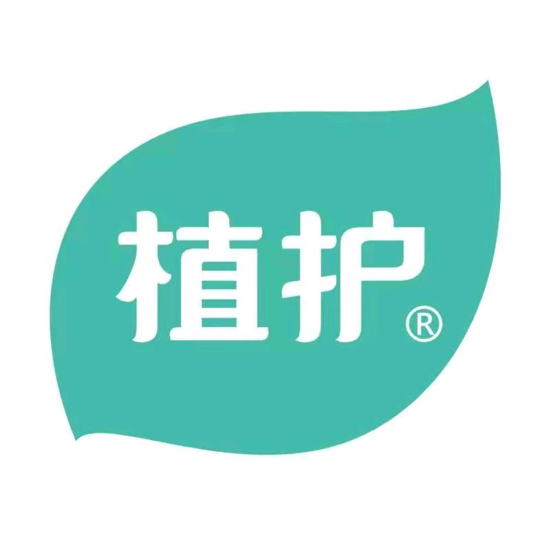 植护轻奢纸品直播间