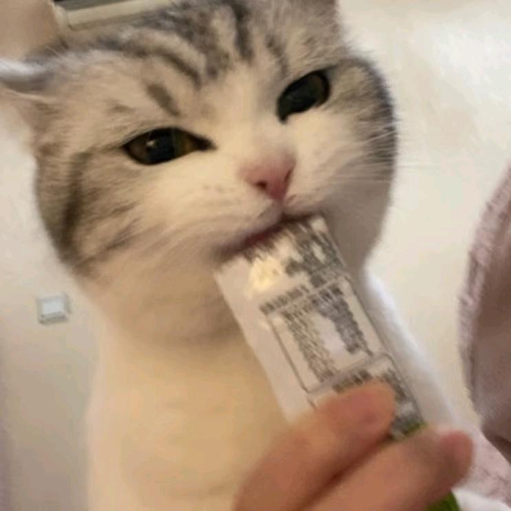 彪彪的健身教练