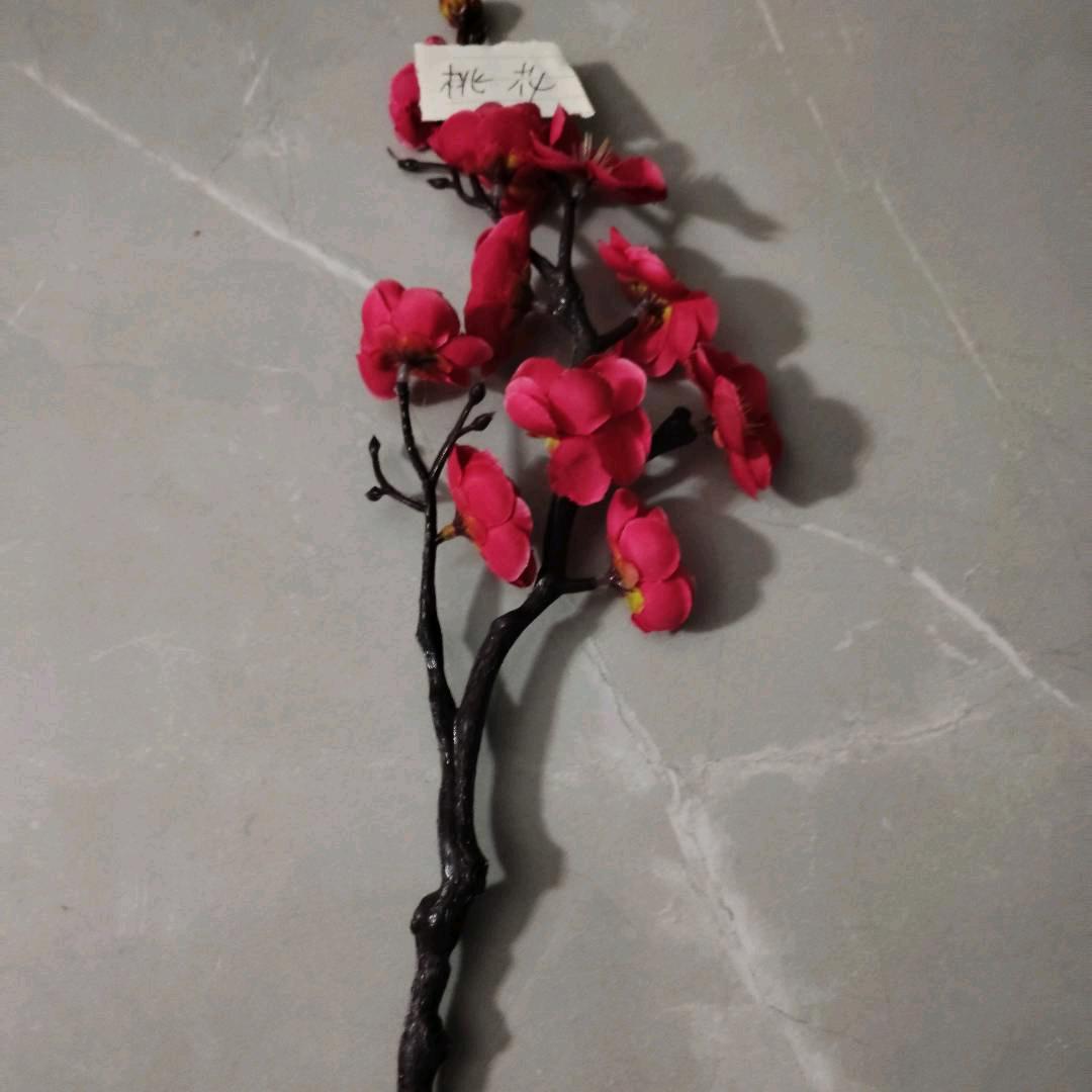 高哥🇲🇴养花种花