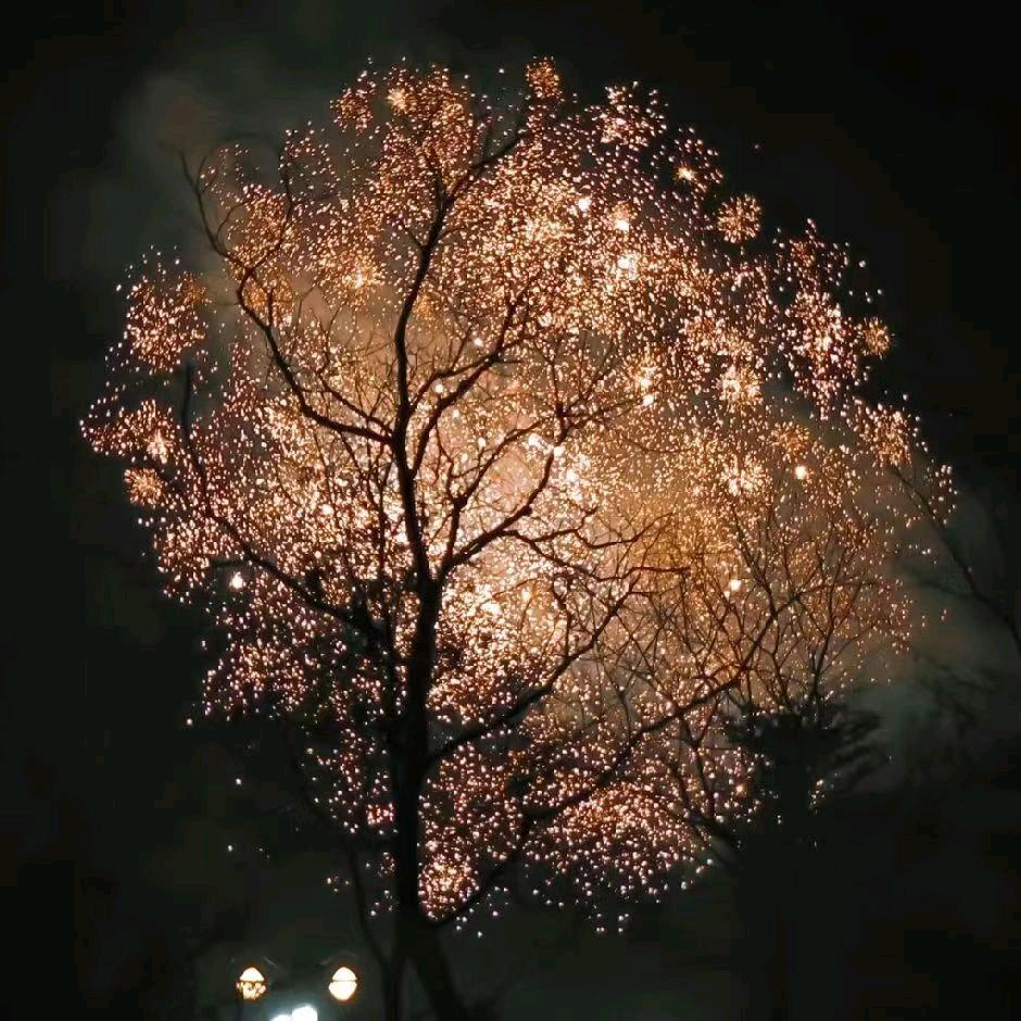 小爺