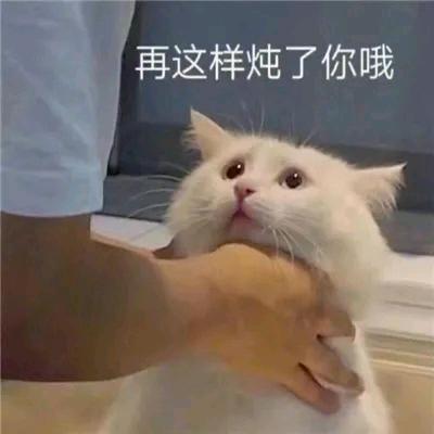 游戏定制开发