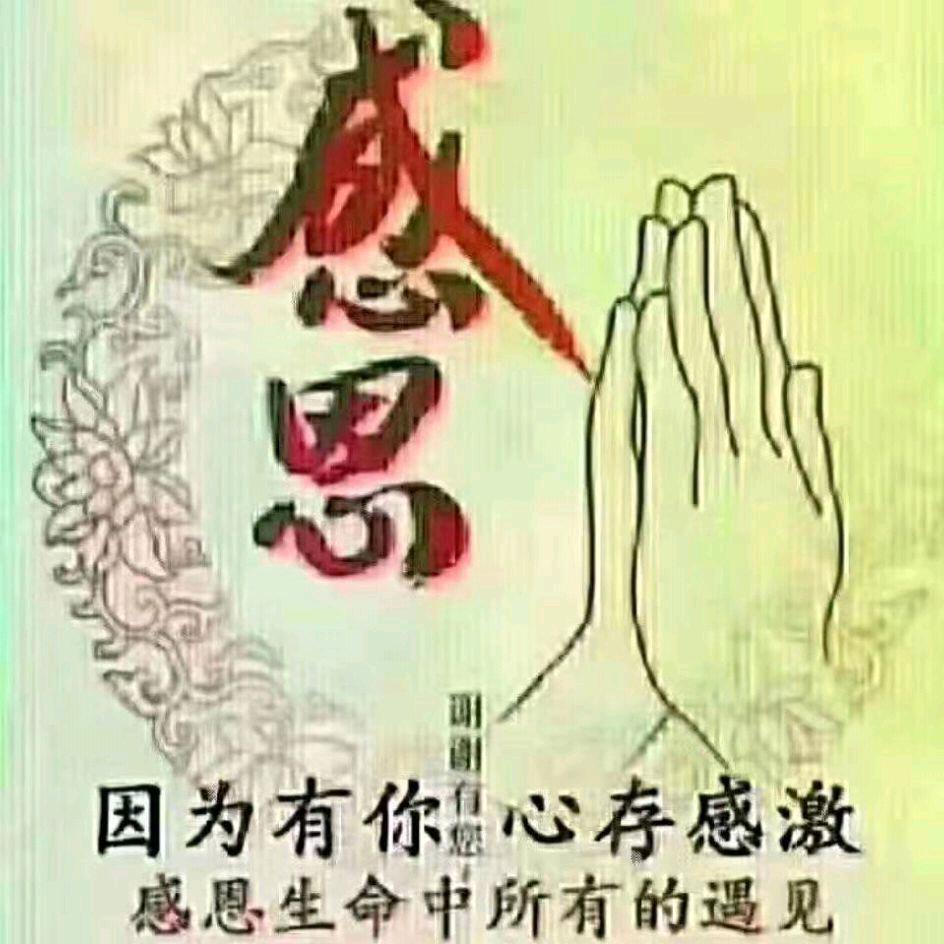 顺其自然，随缘而定