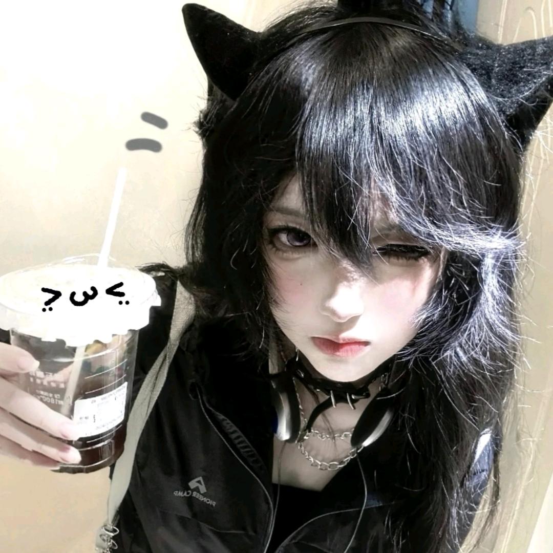 猫猫大王