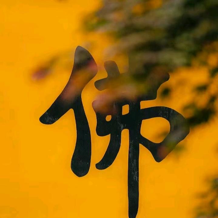 九华山&池州旅游梅先生