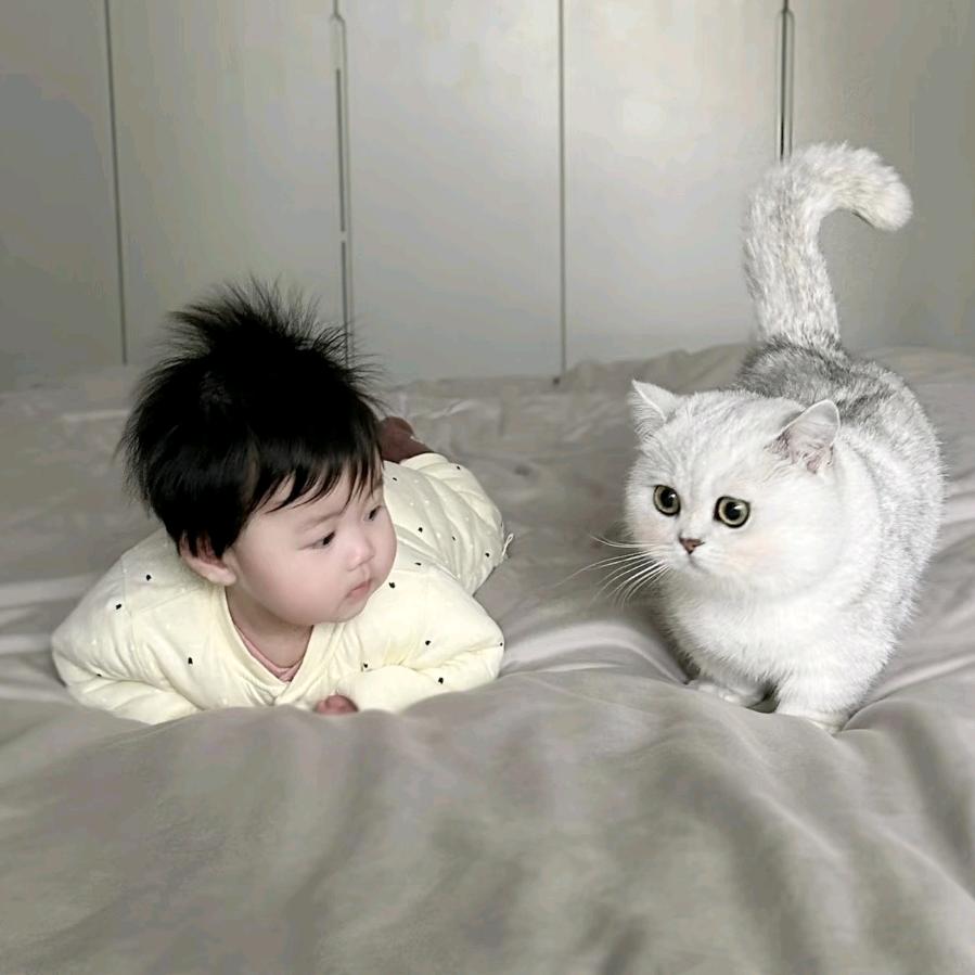 萌娃和爱宠分享