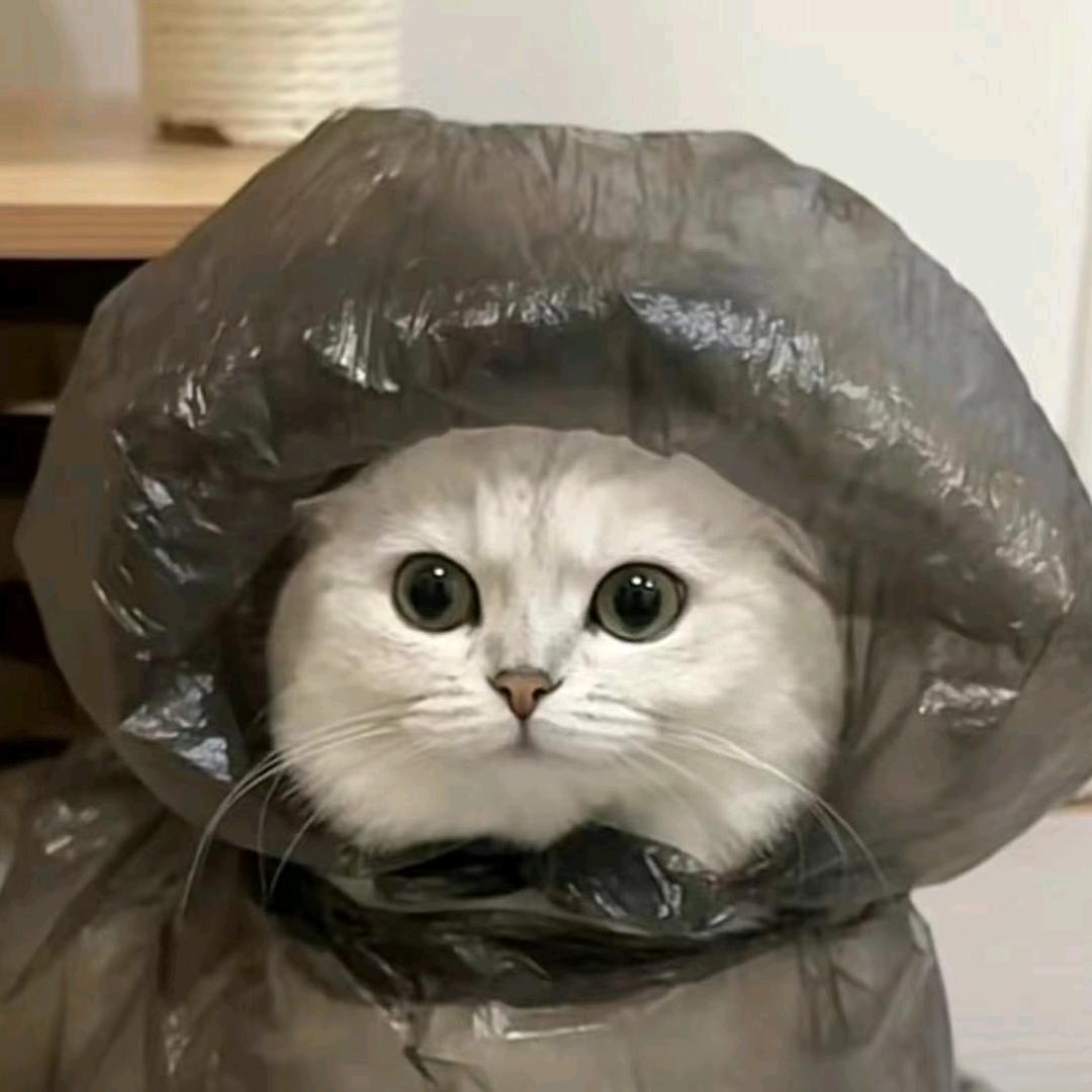 眰恦