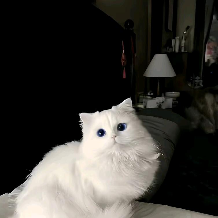 路灯下的小女孩