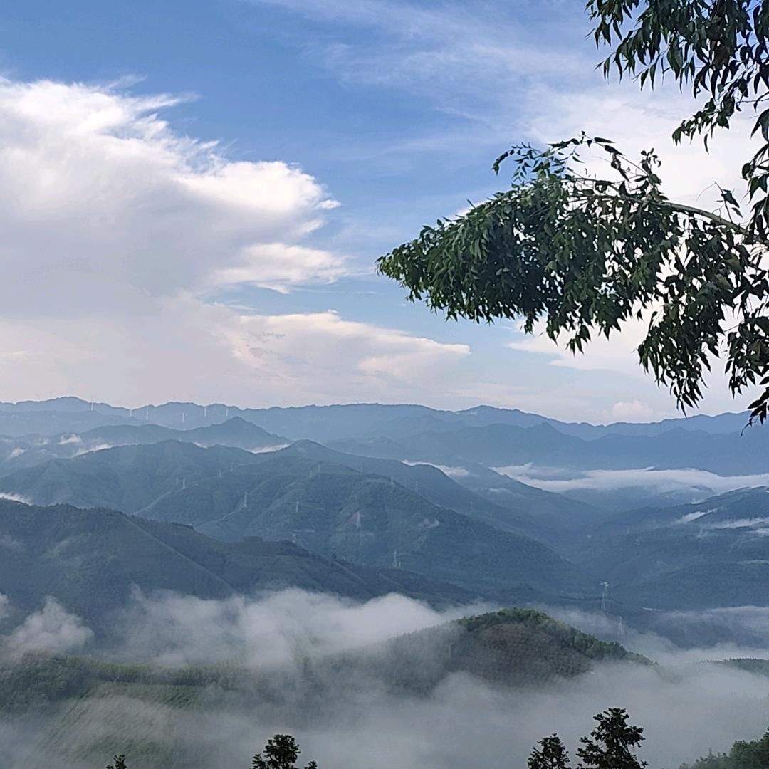 好梦由来最易醒