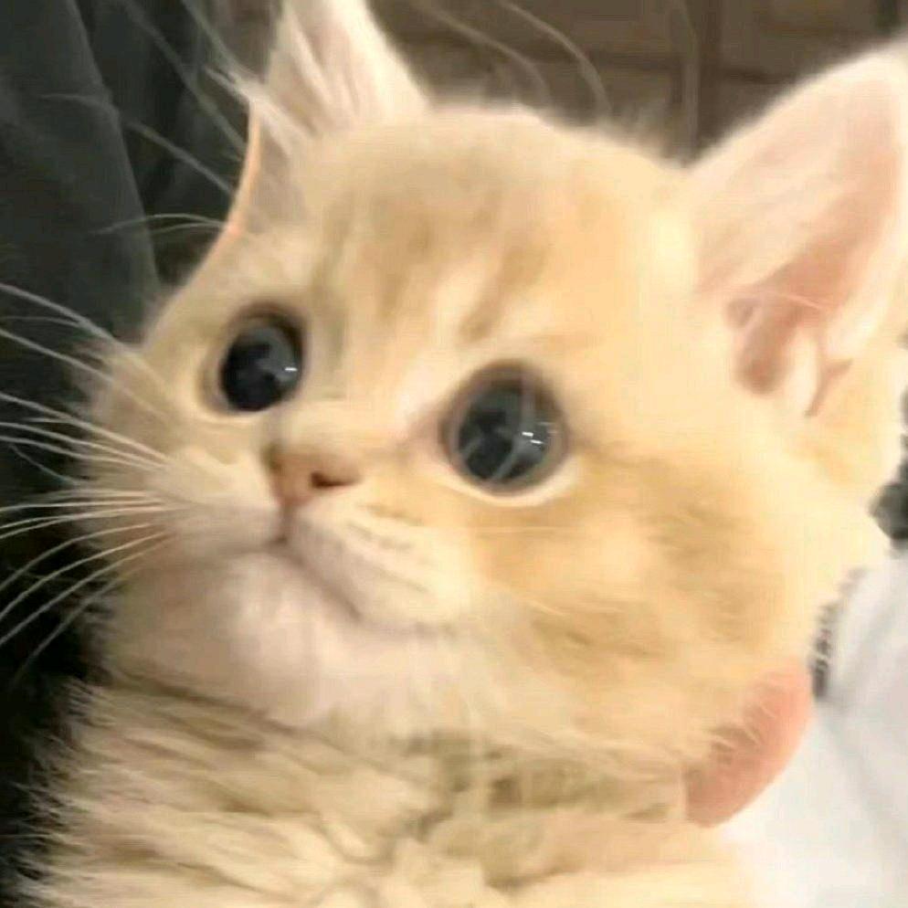 邓瑞轩（准大一新生）