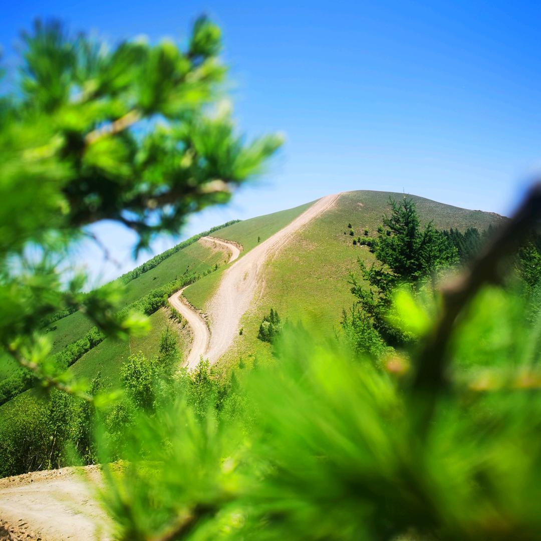 老掌沟追梦人家民宿，领队