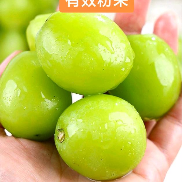 欧拉欧拉