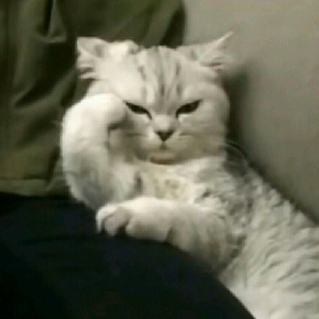 错位琴