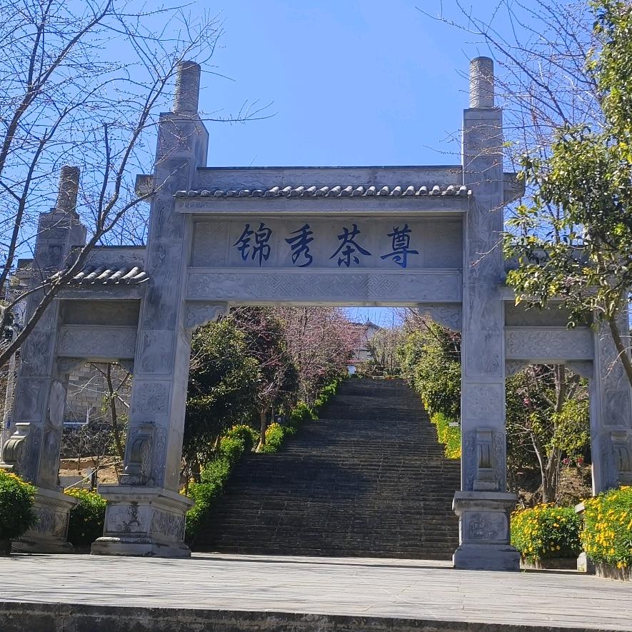 字家古茶