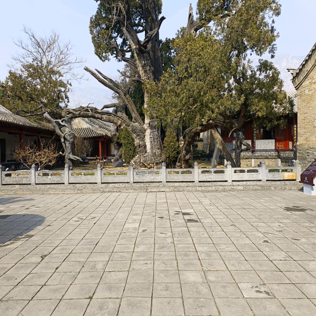 ♥褪色的回忆♥