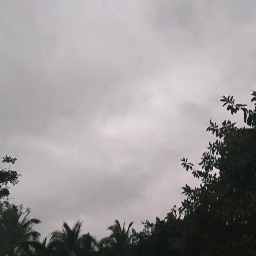 吉呦呦呦