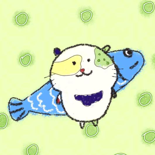 小小鱼ദ്ദി˶>𖥦<)