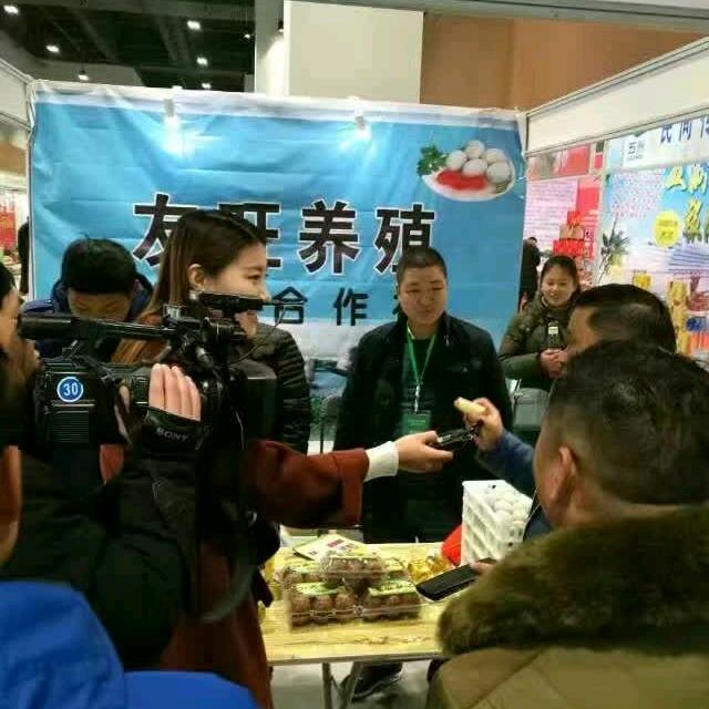 80后蛋鸭养殖人