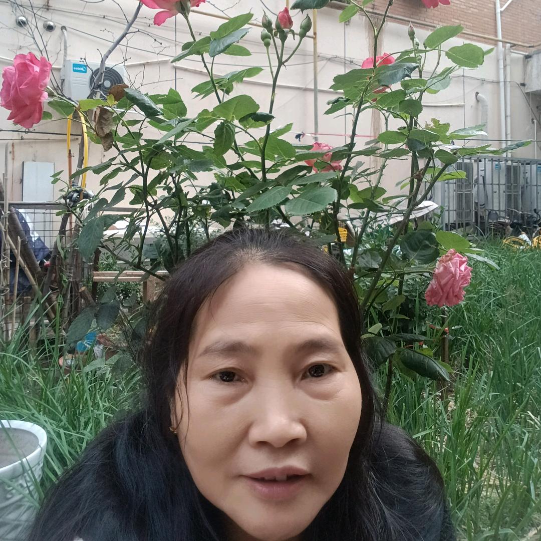琴音悠杨