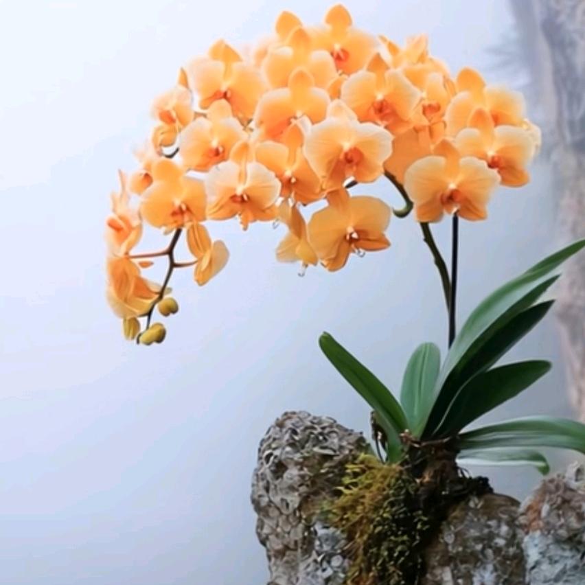 别把疼你的人弄丢了😐