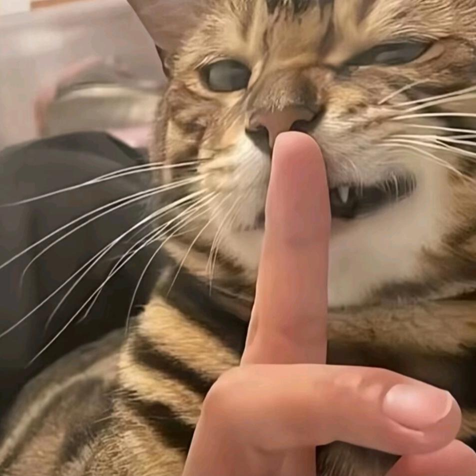 敗筆.