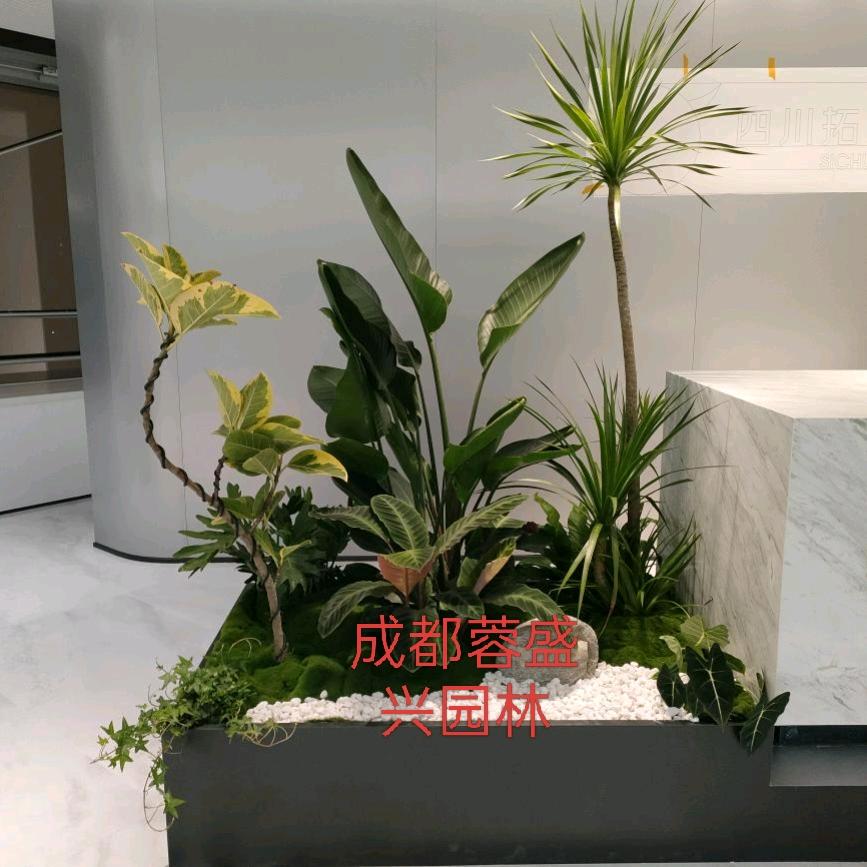 成都蓉盛兴园林