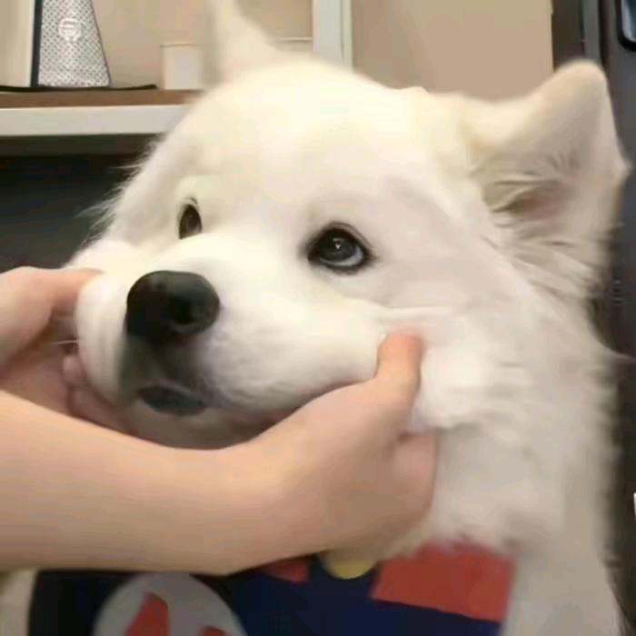 之葉