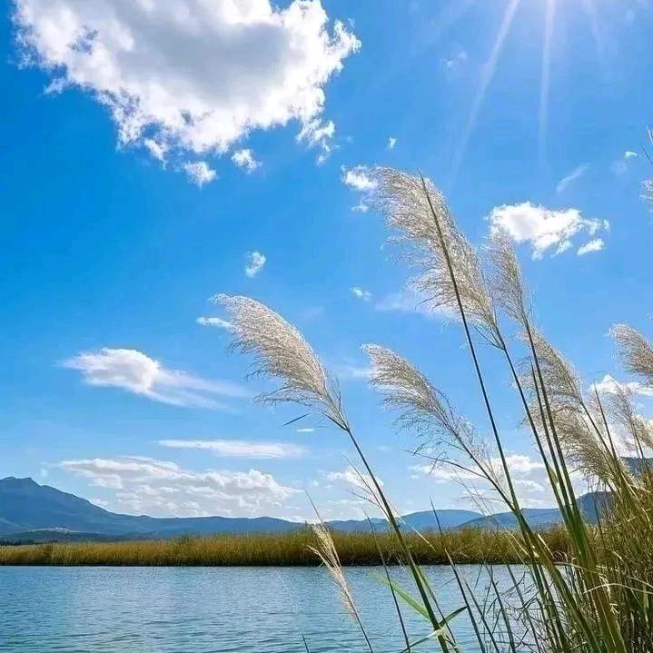 沉淀
