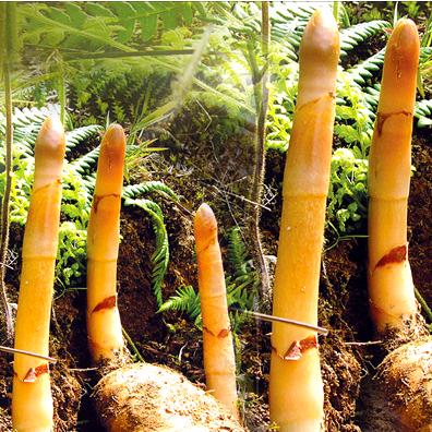 四川农二哥农业科技有限公司