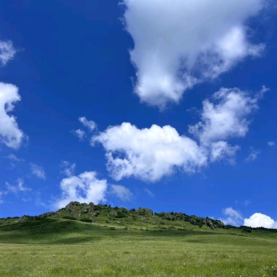 林韵山居