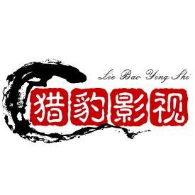猎豹影视