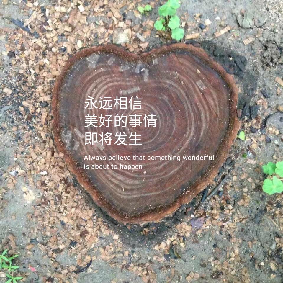 🈚️法🈚️天