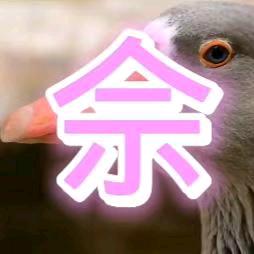 华勇（团博）