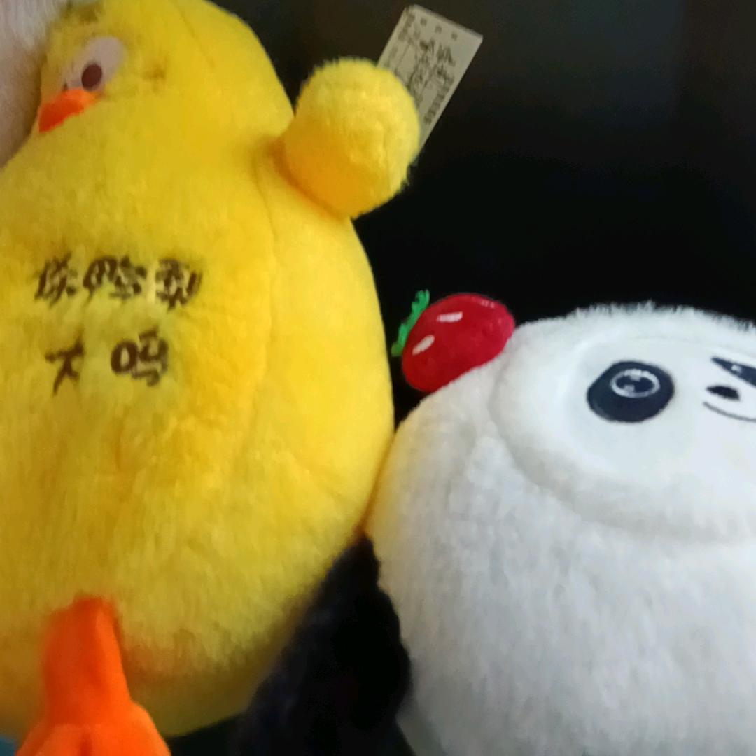 菲菲