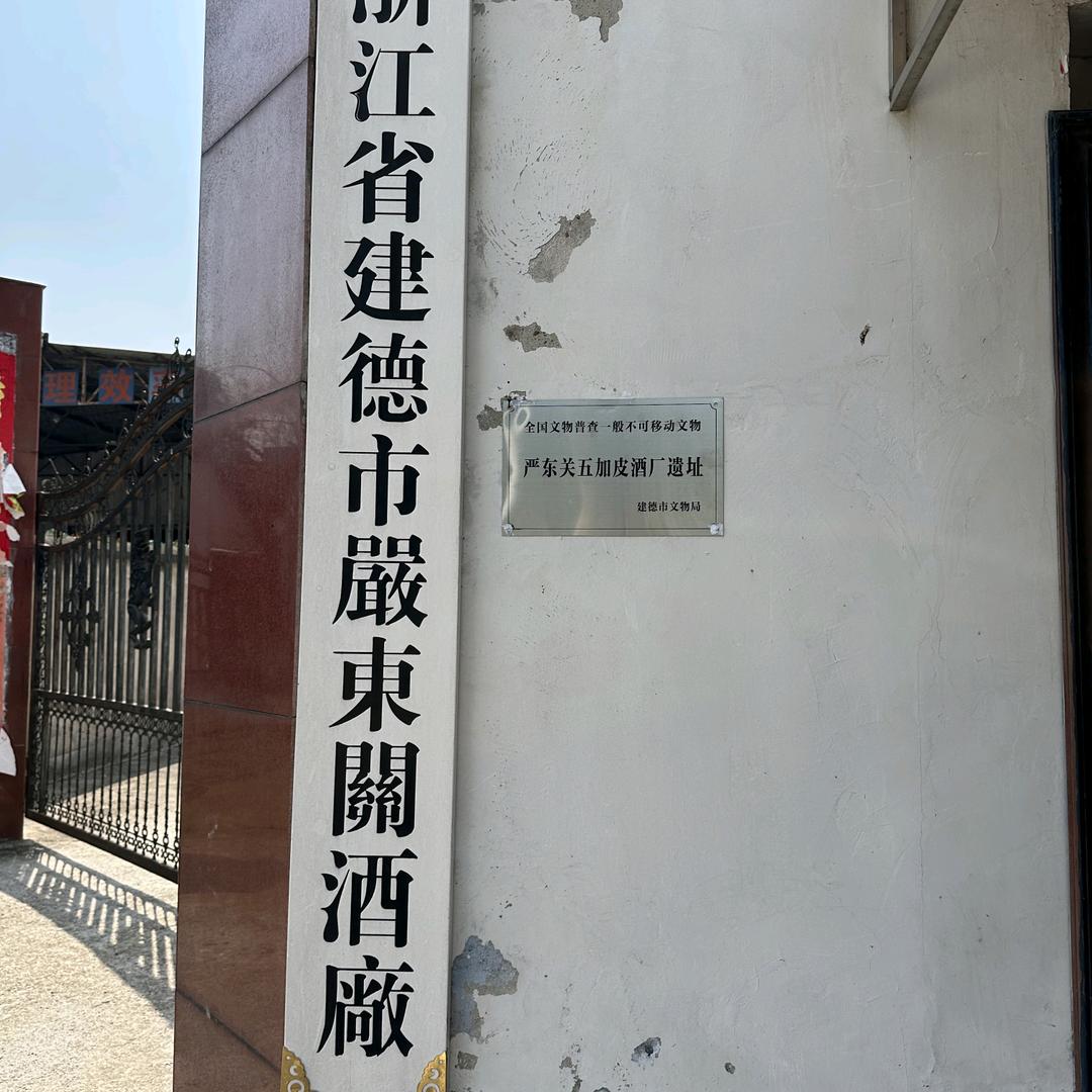 严东关承先五加皮酒