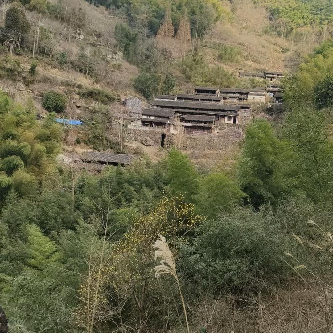 ꒰ᐢ. .ᐢ꒱ 一团空气