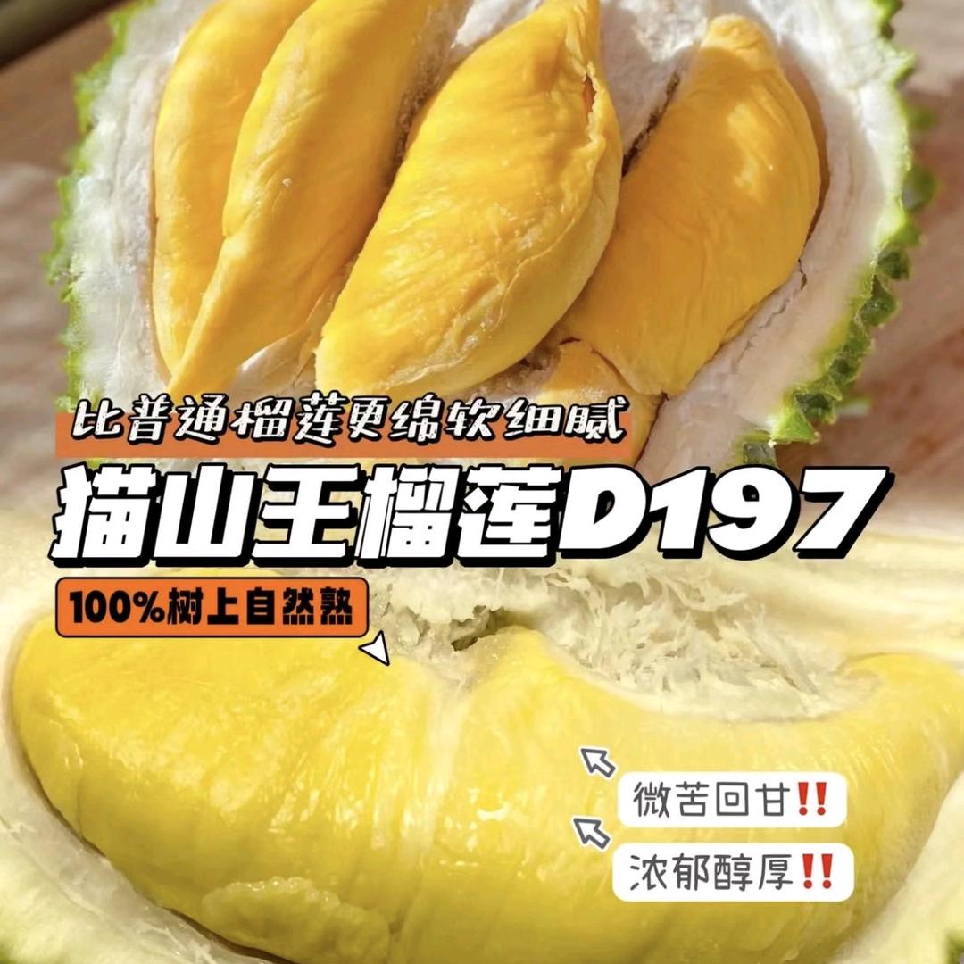 🍒小小🍒
