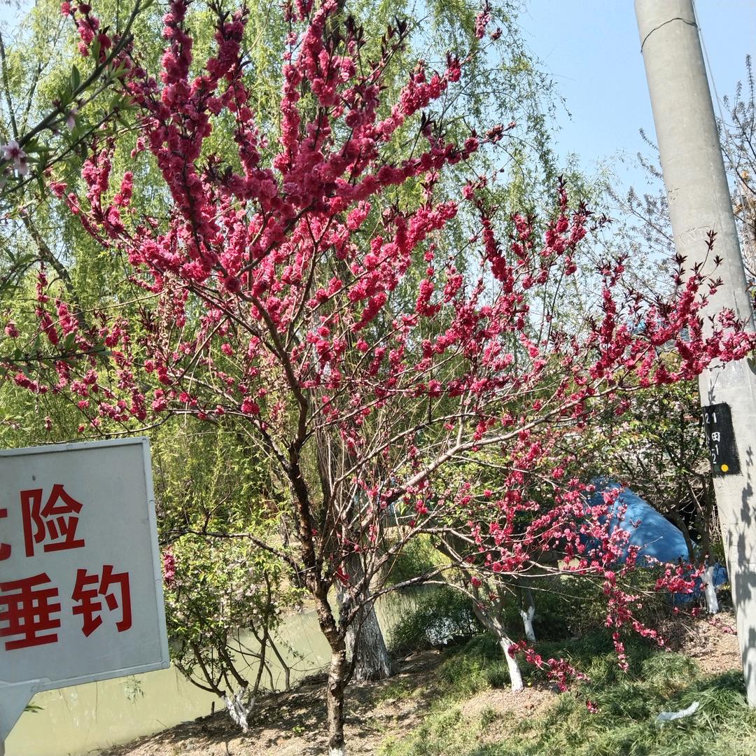 ′开心