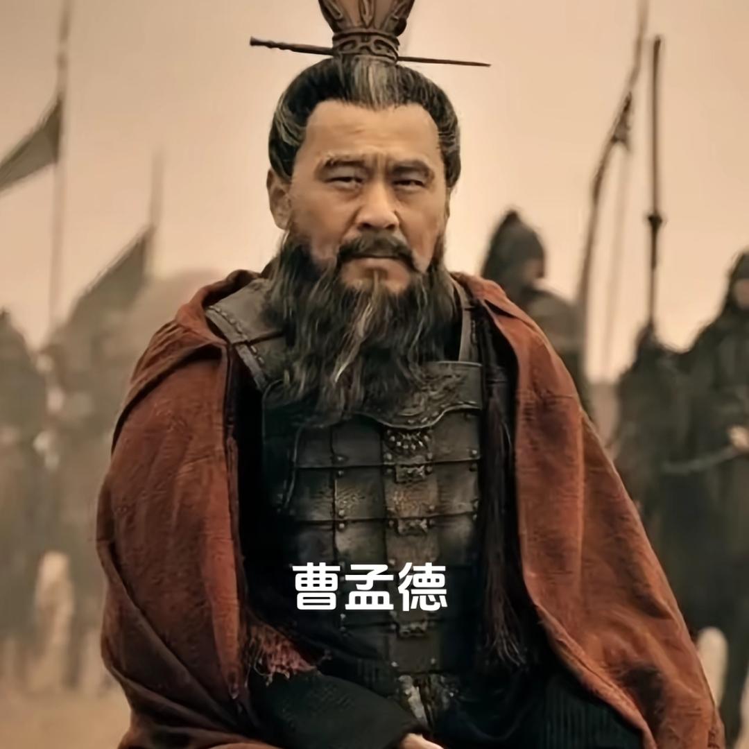 吾与曹贼何异（终极严选晃得头晕版）