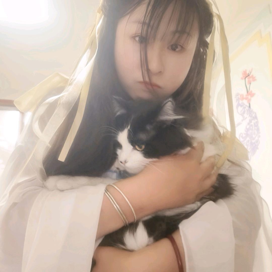菜鸡，舞游