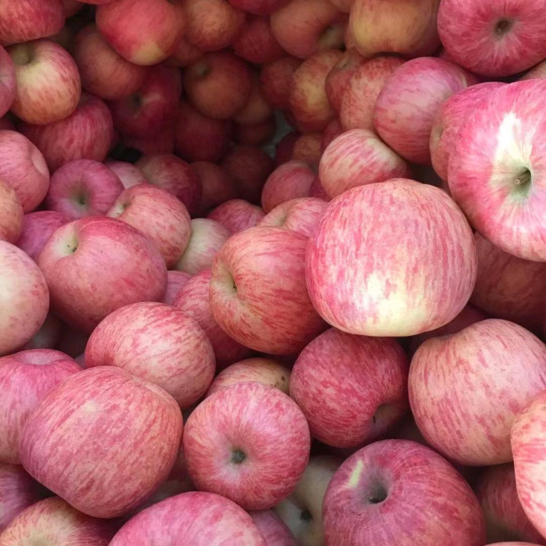 兴盛果蔬代收，代存，代发【实力代收】