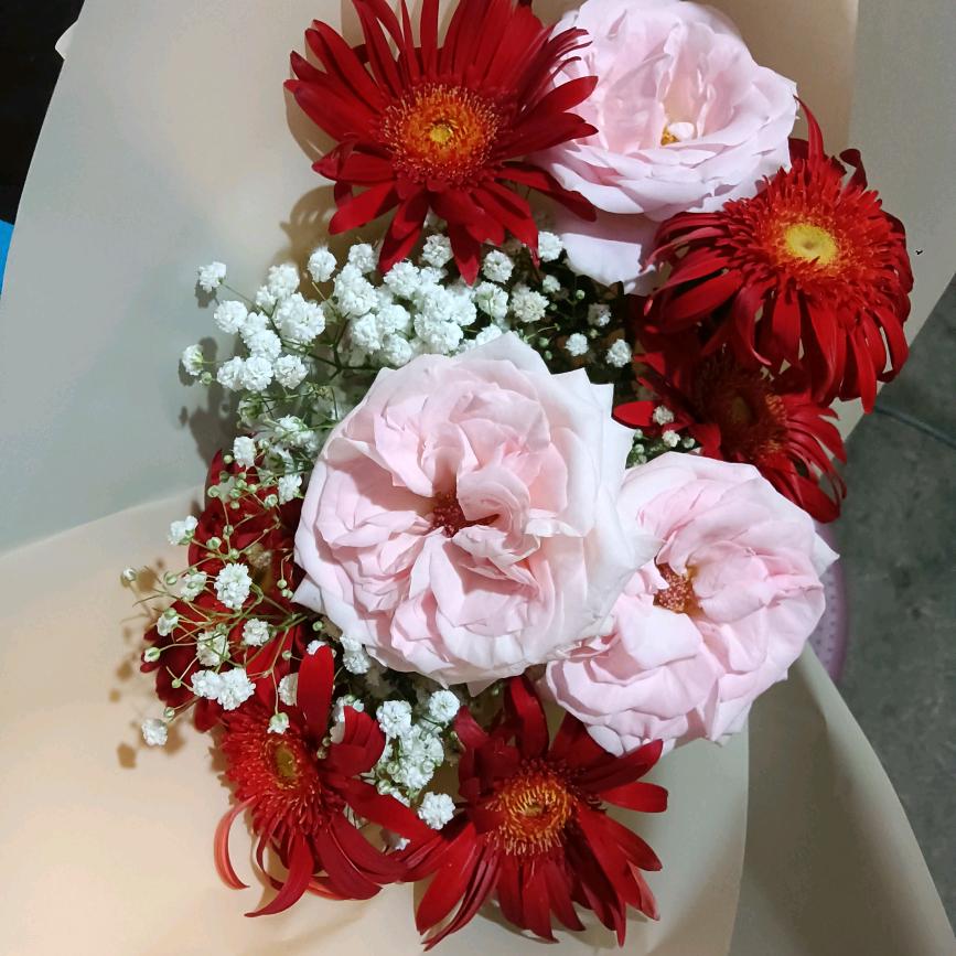 开开心心每一天