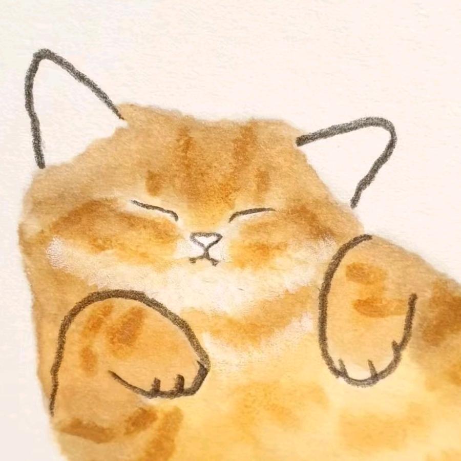 喔nononono