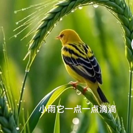 郭长征