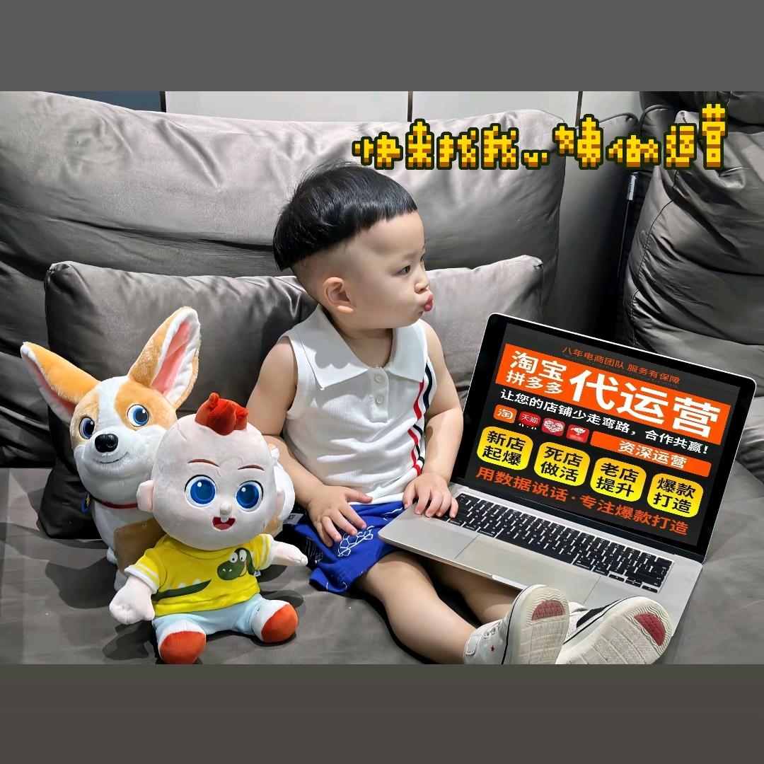 保定电商代运营